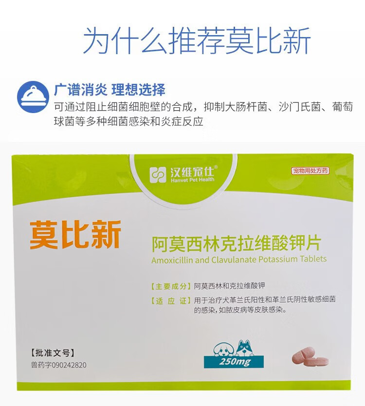 正发汉维宠仕莫比新250mg适用体重19-60kg犬用宠消炎感冒药7片/板