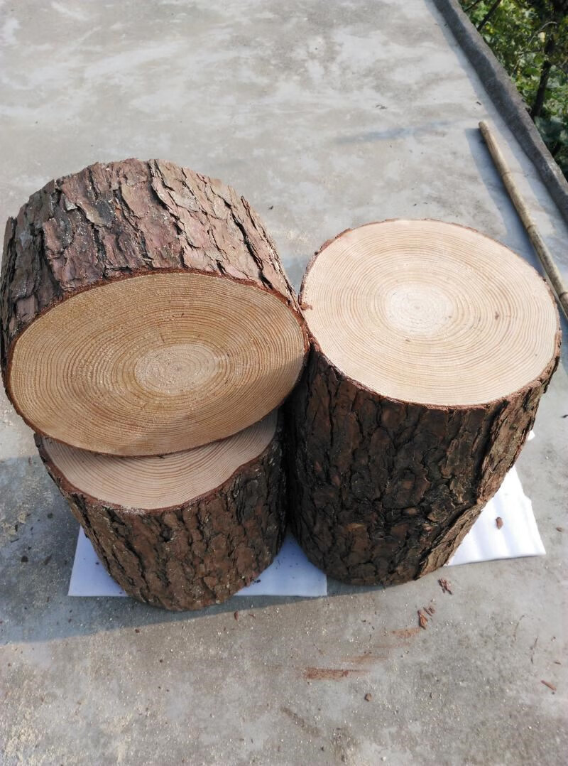 实木墩子原木凳子天然木桩树墩原木桩树桩松木树墩子底座花架摆件