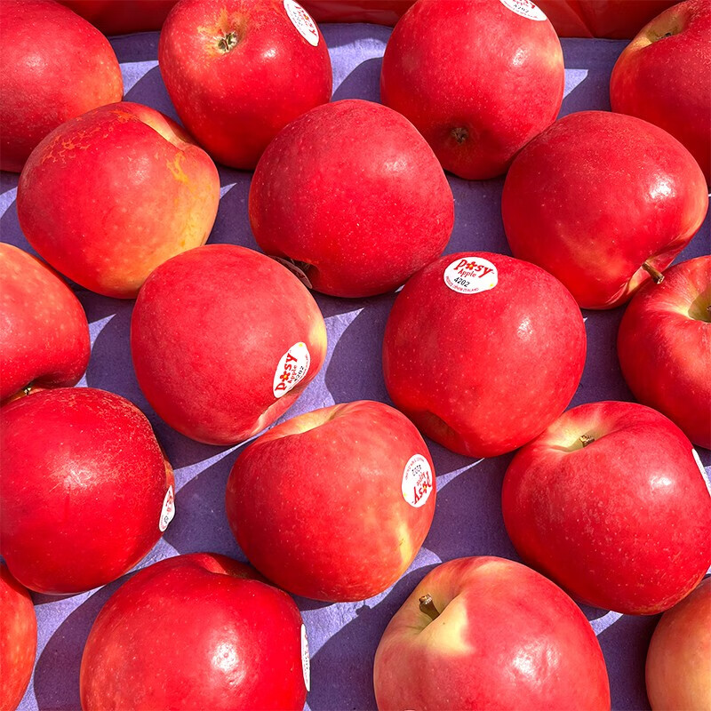 新西兰进口posy小花苹果 新鲜脆甜多汁小苹果 精选posy小花苹果20粒装