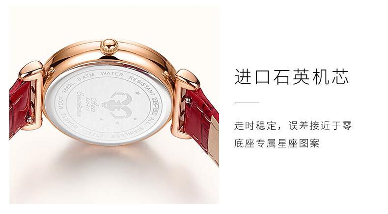 劳士顿rosdn手表12星座璀璨简约时尚石英女士手表幸运星座520送女友