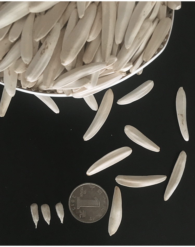 新疆马牙白瓜子新货特级阿克苏大颗粒原味牙签瓜子白皮狼牙瓜子 特级