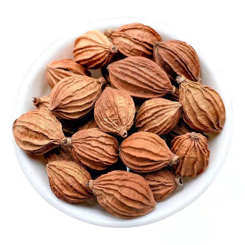 北京同仁堂原料 新货云南特产香砂仁大果500g金砂仁炖肉汤香料卤料中