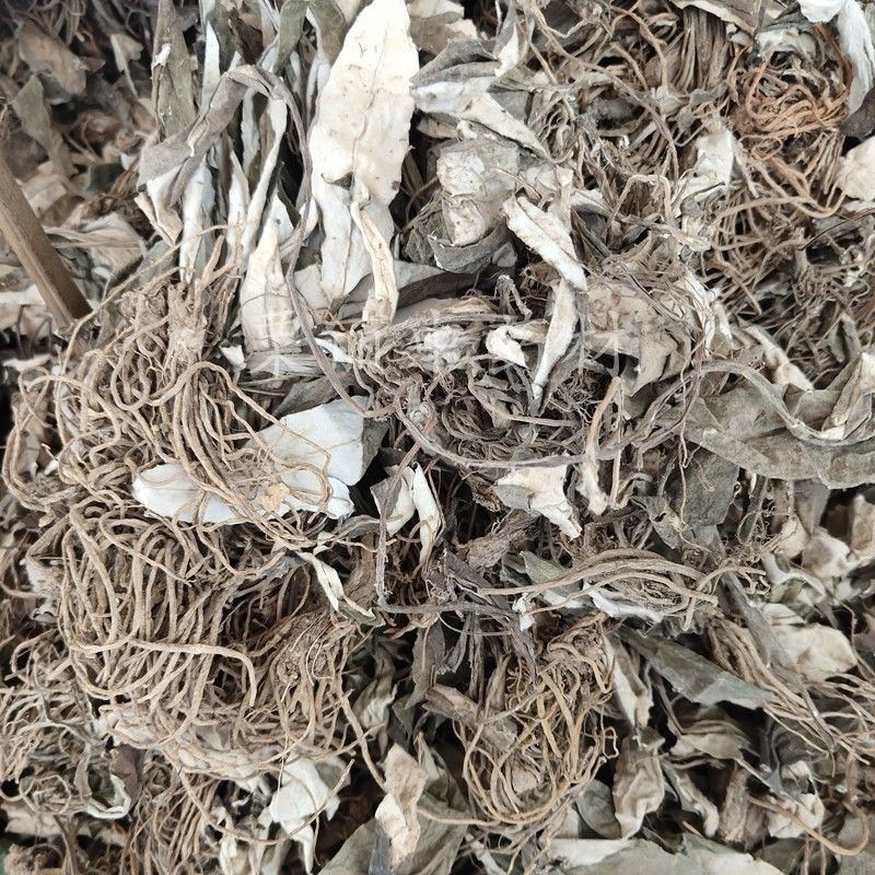 中药材白眉草 一枝香四皮香贴地香黑眉草 500克【图片 价格 品牌 报价