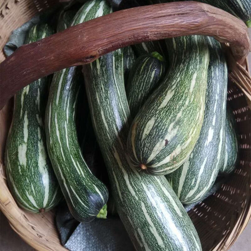 新鲜嫩南瓜北瓜河北当季青皮南瓜黑皮嫩北瓜长南瓜长北瓜时令蔬菜 4斤