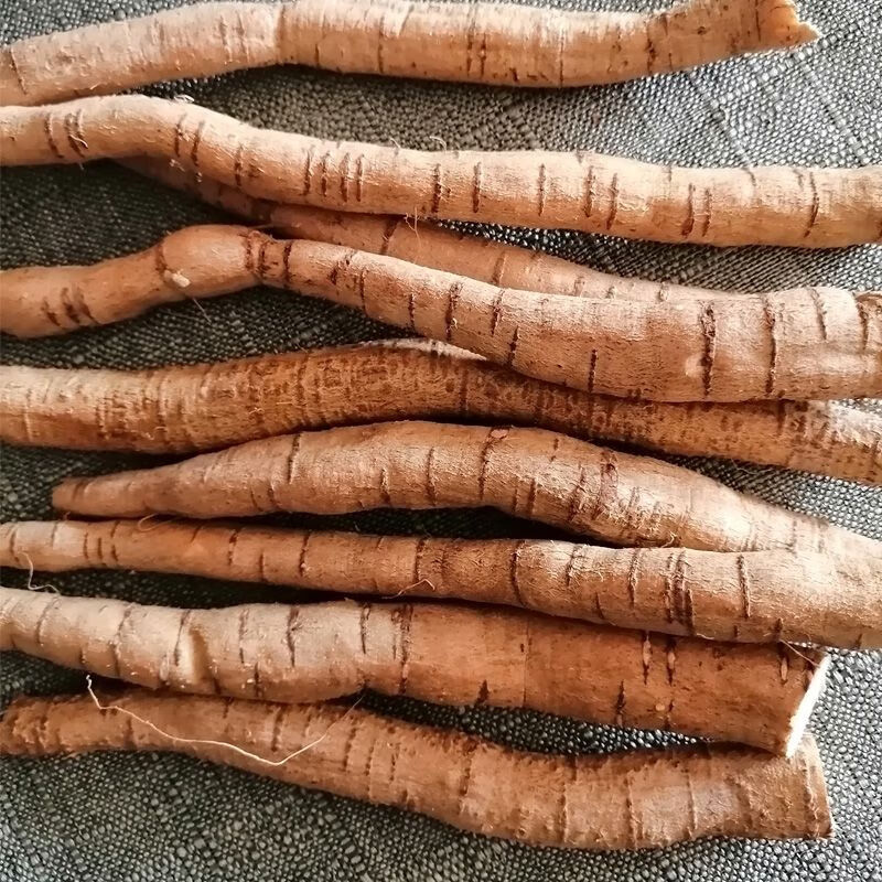 北京同仁堂原料野生牛大力正宗中药材泡酒煲汤养身金钟根新鲜现挖内廷