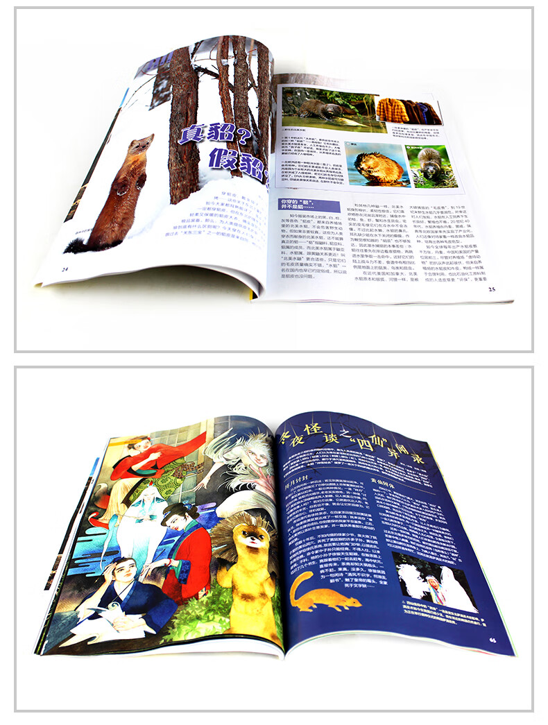 小说 期刊杂志 其他品牌 博物杂志2018年1/2/3/4/6/7/8/9/10/11/12月