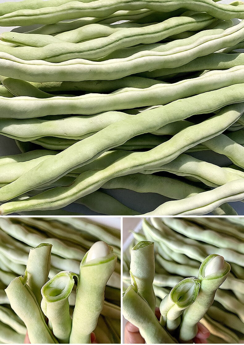 媚调农家新鲜蔬菜东北白豆角 四季豆辽宁现摘芸豆白架豆白不老5斤