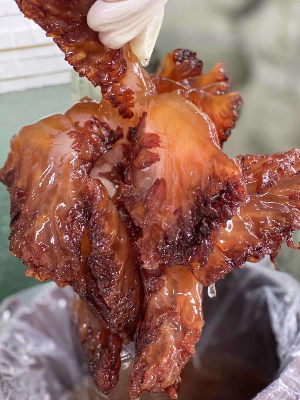 舟山特产海鲜 岱山两头洞海蜇头 净重5斤一桶 2500g 2500g【图片 价格