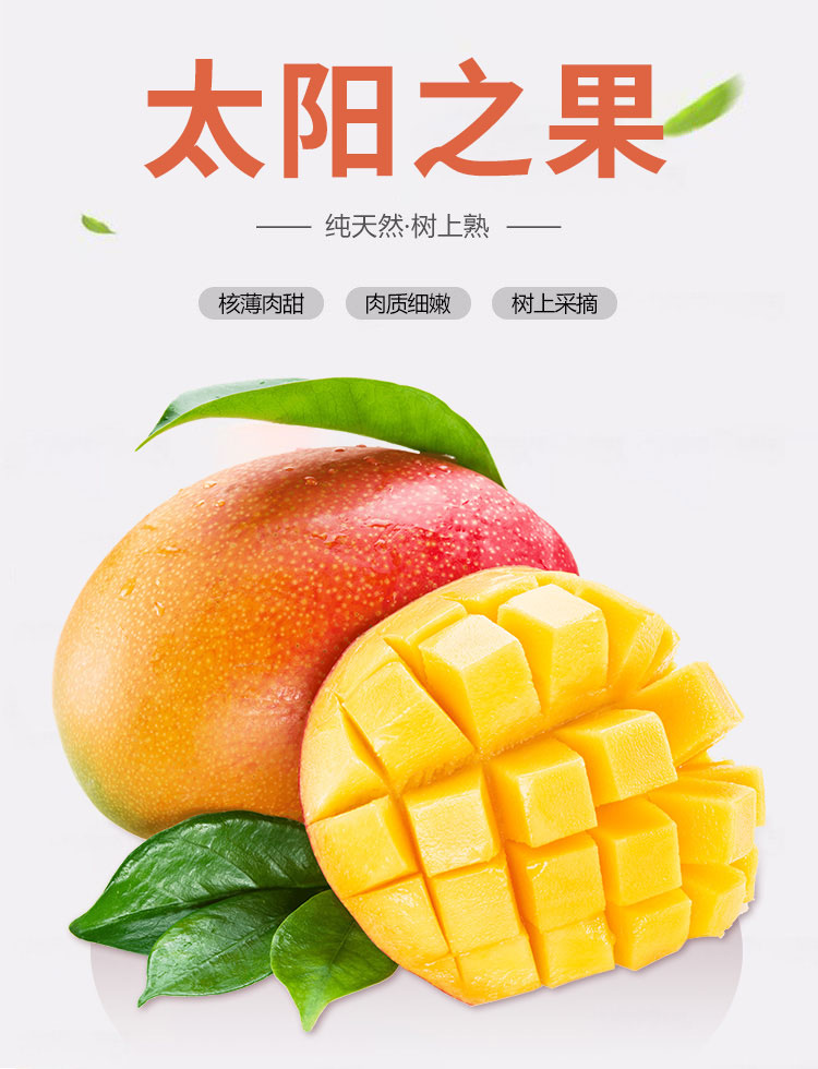 海南馆顺丰快递正宗海南太阳之子芒果精品果特大果5斤树上熟芒果新鲜