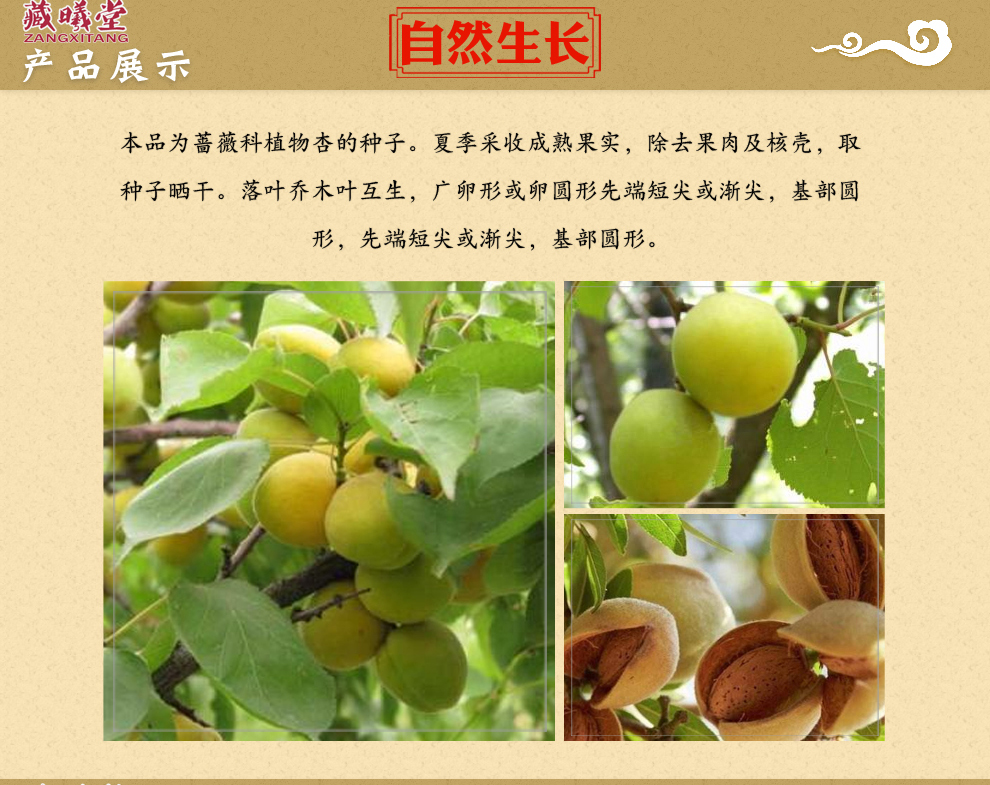 藏曦堂 去皮苦杏仁 苦杏仁 生苦杏仁 中药材精选 去皮苦杏仁200克*2罐