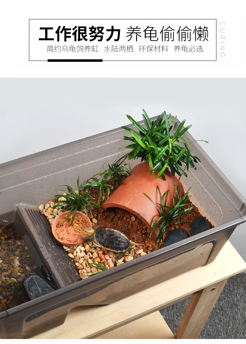 贝拉缘*乌龟缸黄缘专用饲养箱造景生态大号缸水陆两栖半水龟躲避龟缸