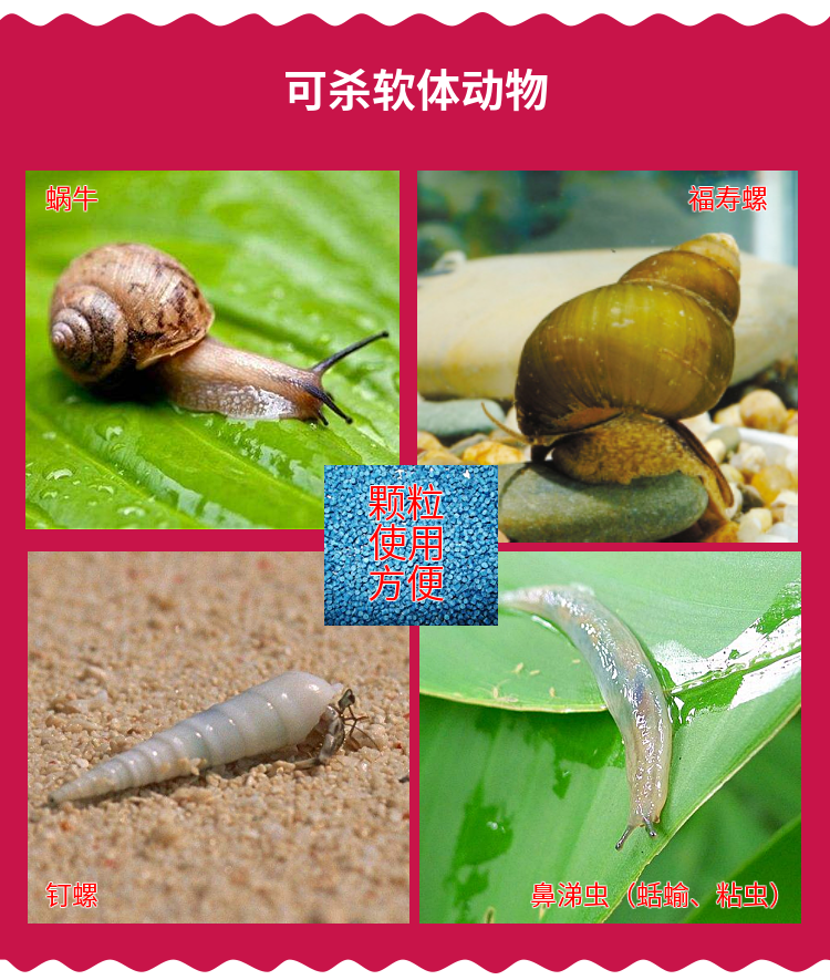 四聚乙醛 杀蜗牛专用药鼻涕虫蛞蝓灭蜗牛的药颗粒剂菜地花卉盆栽果树