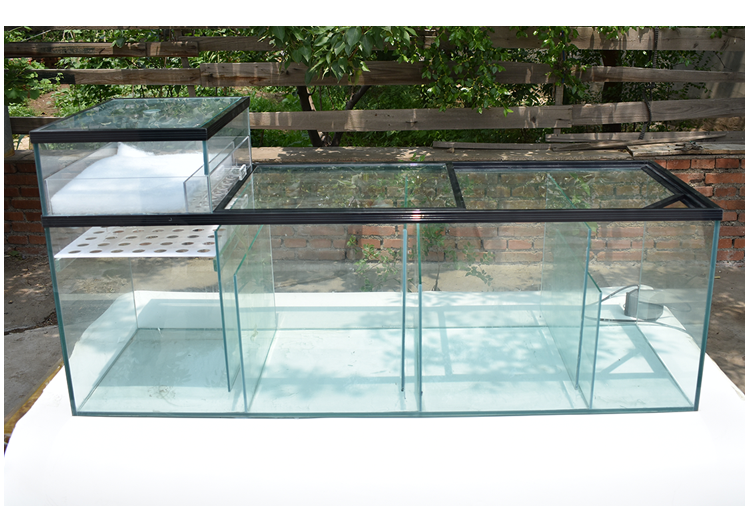 底滤缸鱼缸底滤水族箱底滤缸底滤槽过滤缸三格t字海缸虹吸梦雷宠三格