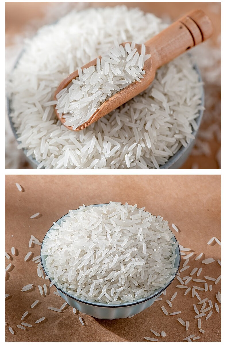 晨臻 广东晚稻新米益乡民丝苗米细长大米农家5斤10斤真空装象牙粘籼米