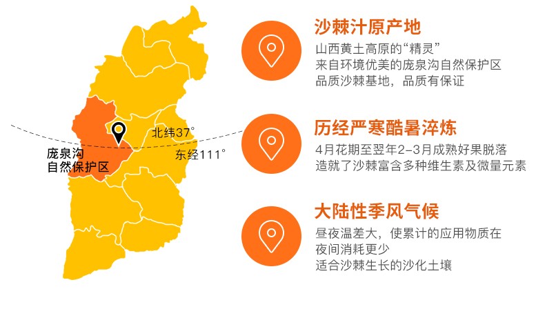 贡天下优选山西特产吕梁野山坡生榨沙棘汁350ml瓶饮料玻璃瓶装饮品8瓶
