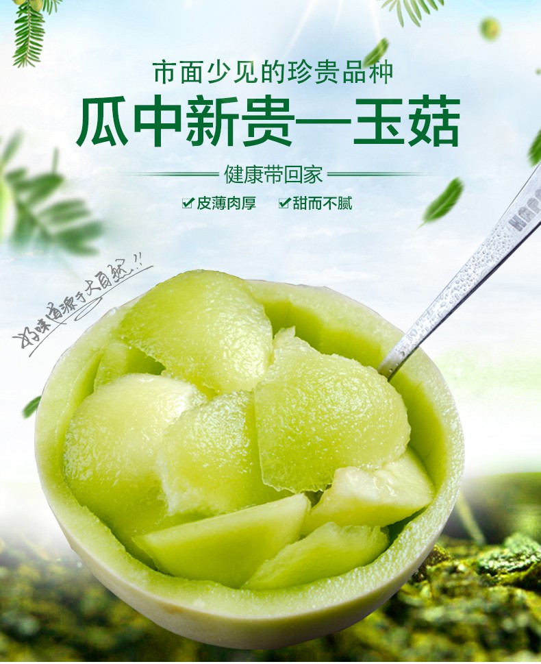 海南精品玉菇甜瓜蜜瓜香瓜现摘现发新鲜水果5斤