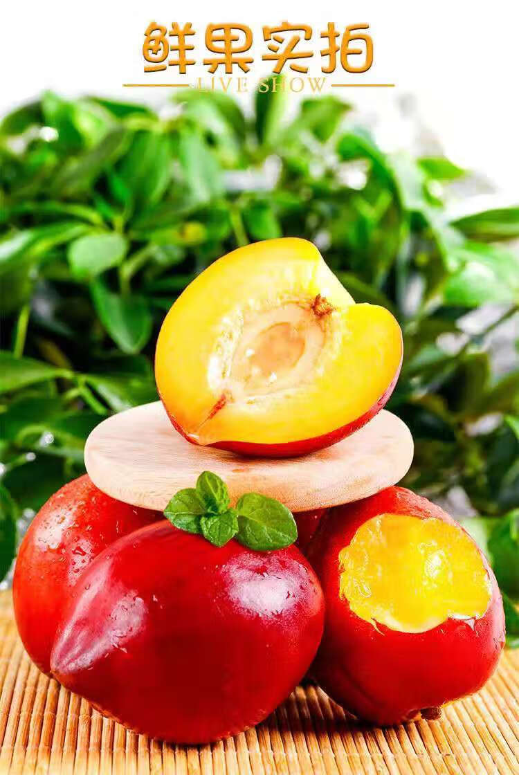 现摘黄心大油桃黄肉油桃酸甜脆油桃桃子新鲜油桃批发硬油桃黄油桃