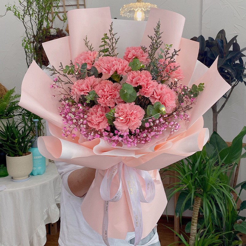 莱一刻 鲜花速递康乃馨花束送妈妈送长辈送老婆全国同城配送上门 11朵