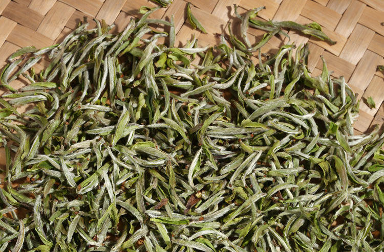 5折30年老树白毫银针王头采太姥山顶荒野老枞古树特级散茶500g