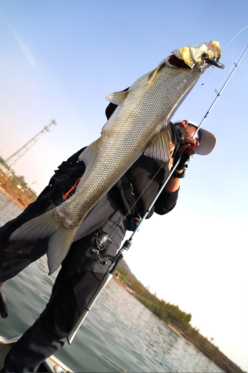 国·王银真二代路亚竿2电镀银远投翘嘴专用l/m快调马口虫杆鳜鱼单竿
