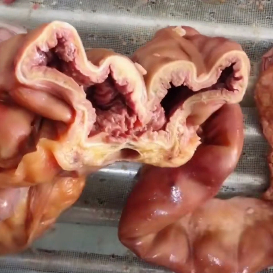驴板肠驴套肠驴大肠驴肠子河间驴肉河间特产 2斤驴板肠【图片 价格