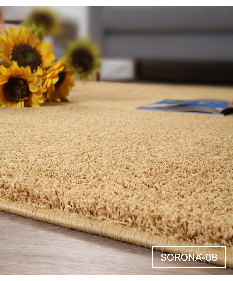 美国杜邦sorona纤维地毯客厅卧室防滑地毯床边毯加厚高密度办公室地毯