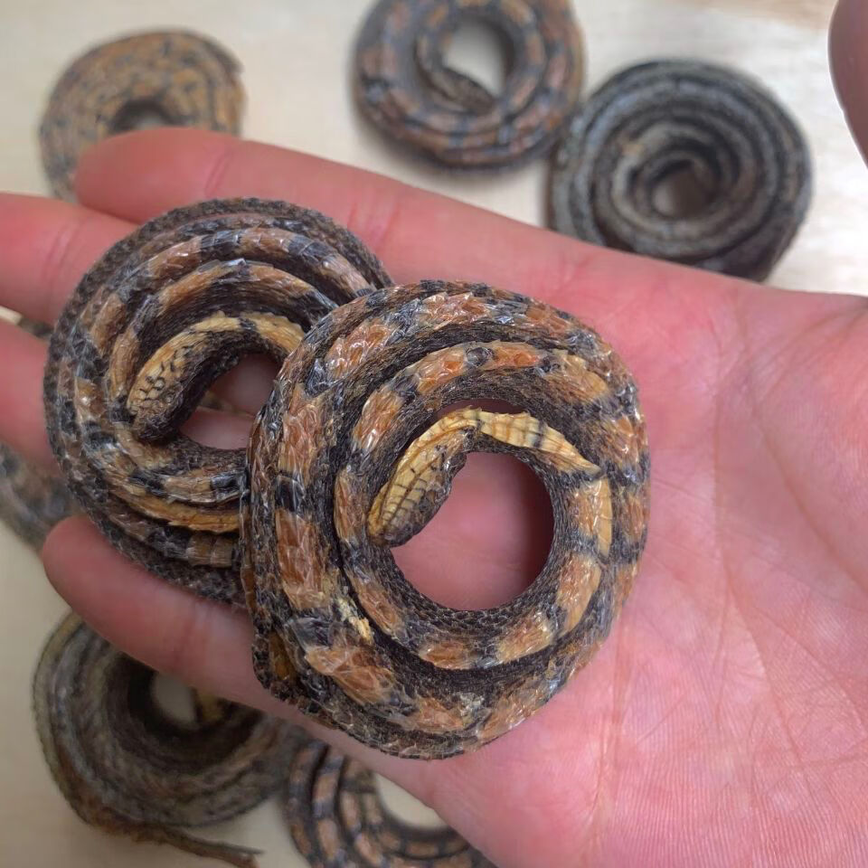 实体店 红盘蛇 红花蛇 干货 小5条 纯正小红花蛇【5条】【图片 价格