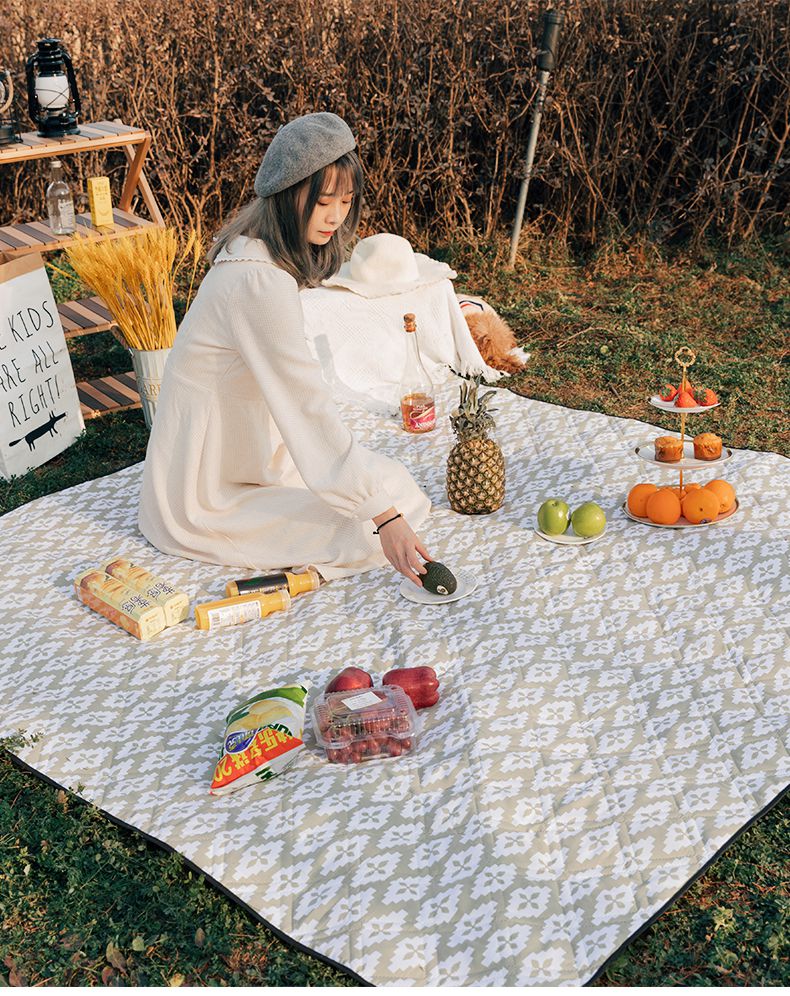 野餐垫垫加厚野外野餐布户外地垫野炊春游郊游便携风215m蓝白丹尼机洗