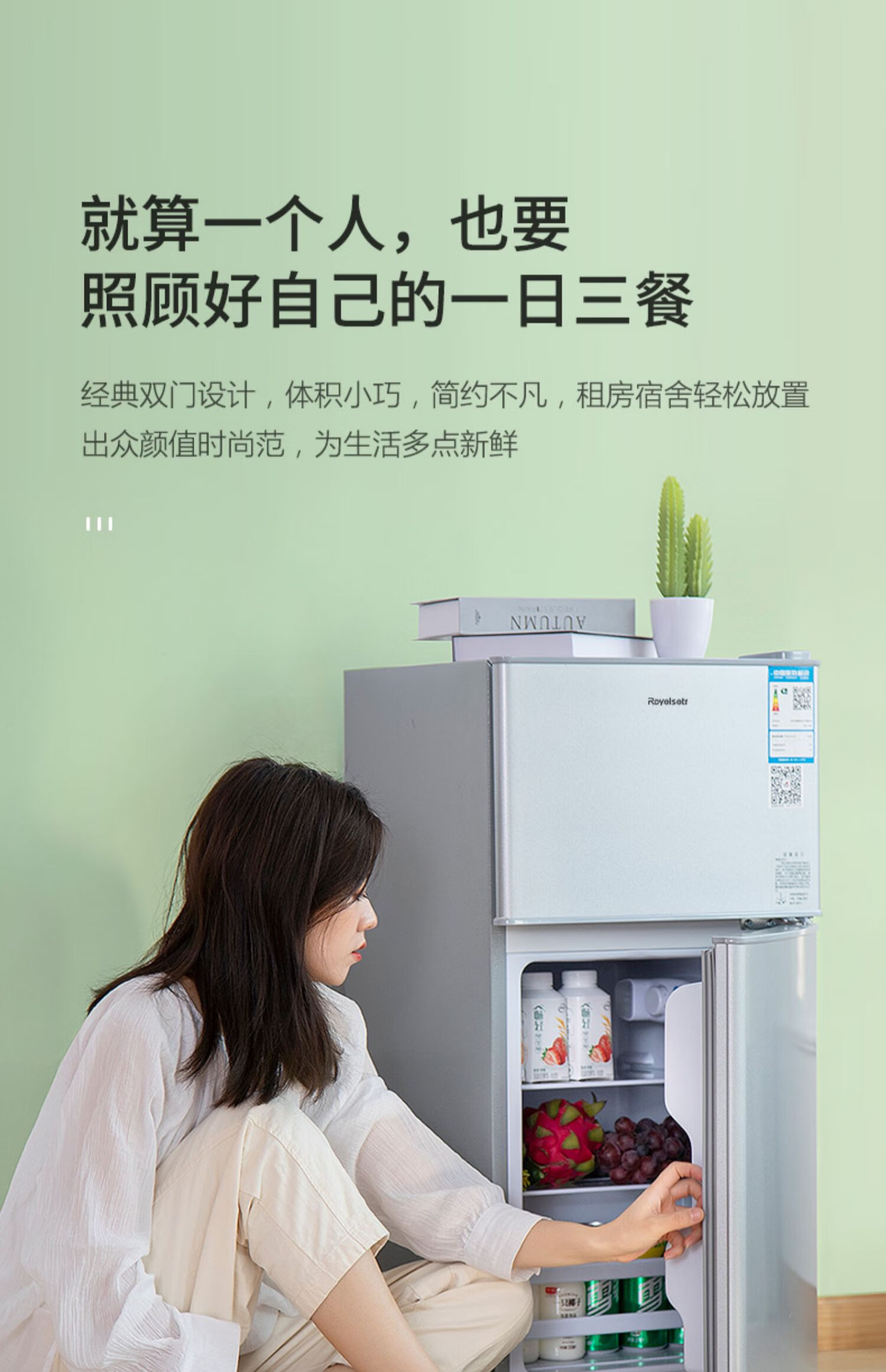 西门子(siemens)两门二门双门冰箱节能低噪小型家用电冰箱迷你宿舍
