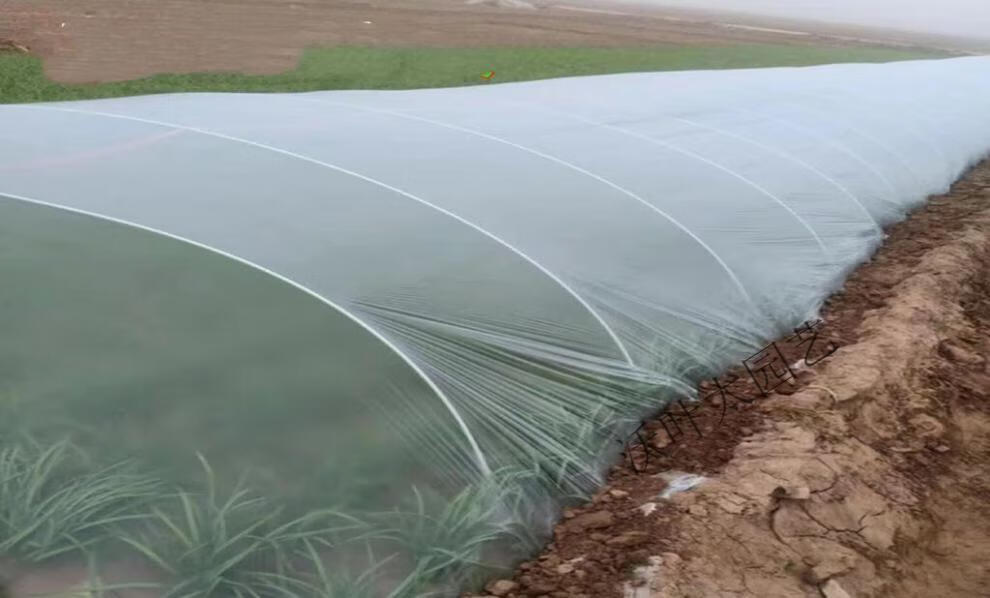 新型小拱棚支架实心玻璃纤维杆棒大棚塑料养殖骨架农用种蔬菜花卉 5