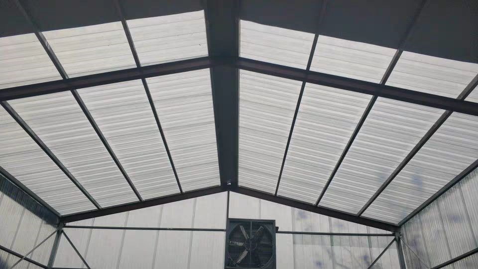 透明彩钢瓦房顶效果图图片