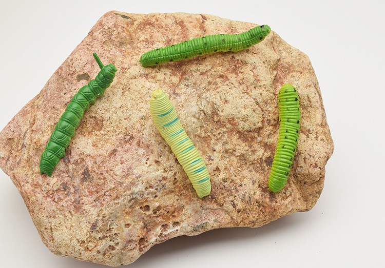 猛仕将毛毛虫玩具仿真昆虫虫子儿童整蛊玩具吓人爬行动物模型整人道具