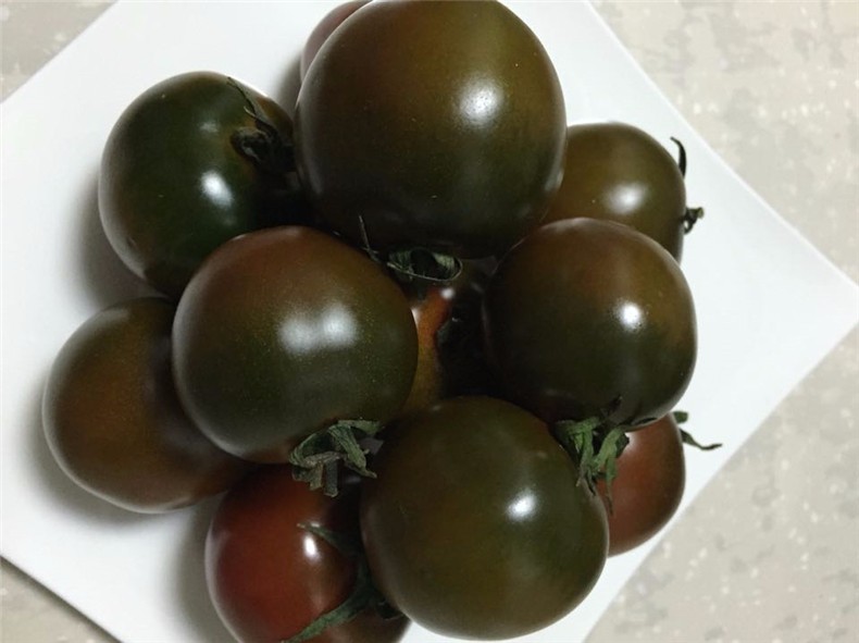 东北新鲜黑元帅西红柿 黑番茄黑珍珠美人柿子生鲜蔬菜5斤