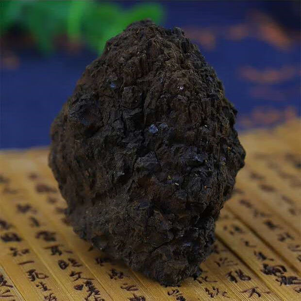 伟博芦阳芝中药材芦阳芝大粒西藏庐阳芝芦阳芝泡茶养生滋补500克