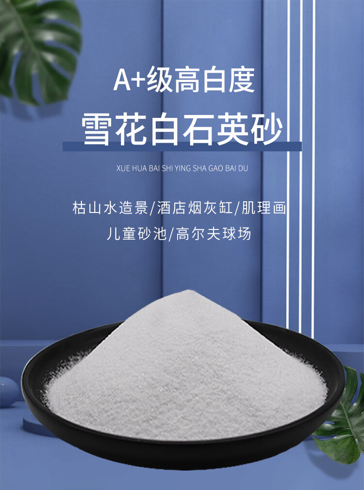 50斤纯白石英砂白色细沙水处理白沙过滤料白砂酒店垃圾桶灭烟沙专用