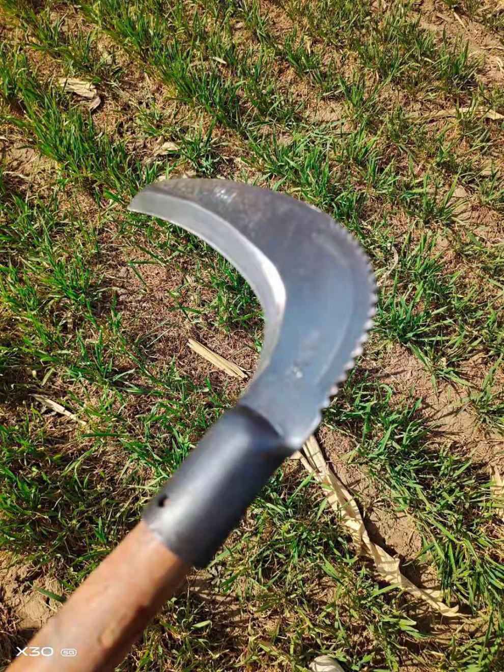 锻打牧草镰柴镰刀割草刀农用割草镰刀北方大镰刀钐镰弯钩刀开钐镰 (老