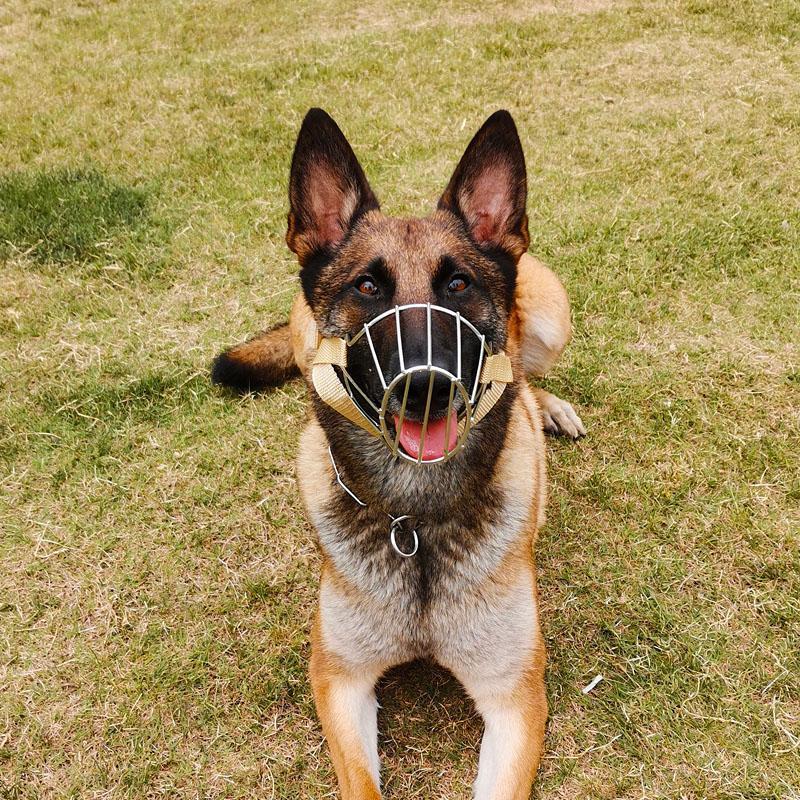 新款马犬专用嘴套 l码(适合体重50-80斤犬)【图片 价格 品牌 报价】