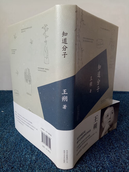 精装 王朔文集:过把瘾就死 王朔作品: 知道分子品牌:二手书