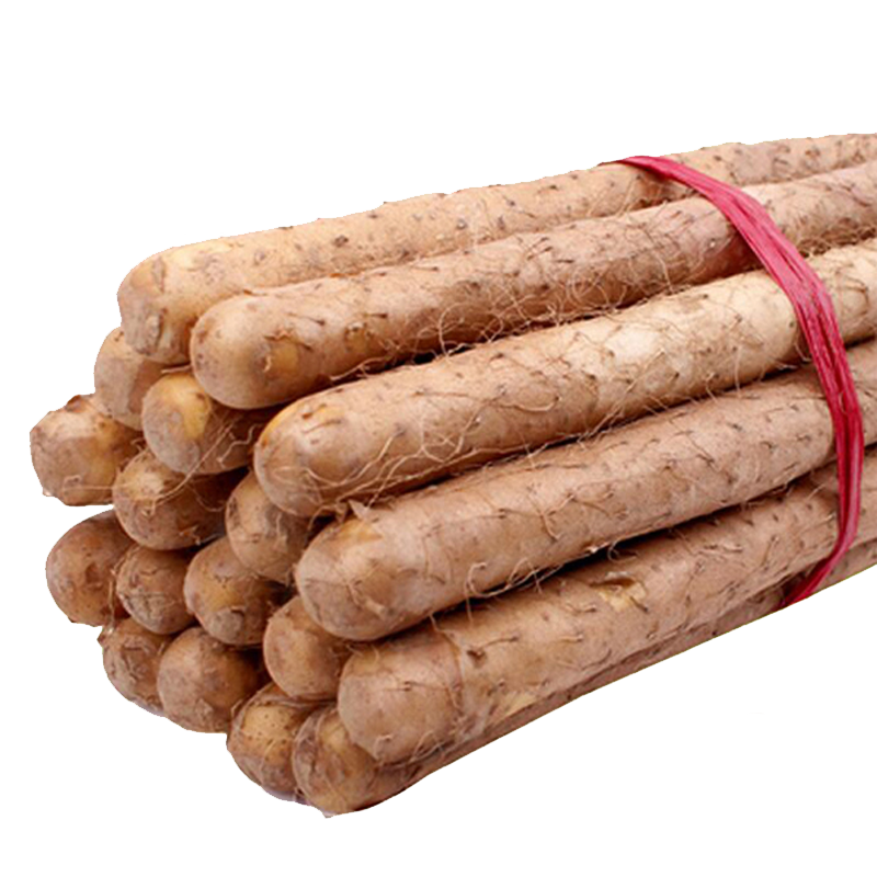 产地直供 正宗陈集铁棍山药5斤装 山东特产2020新鲜现挖