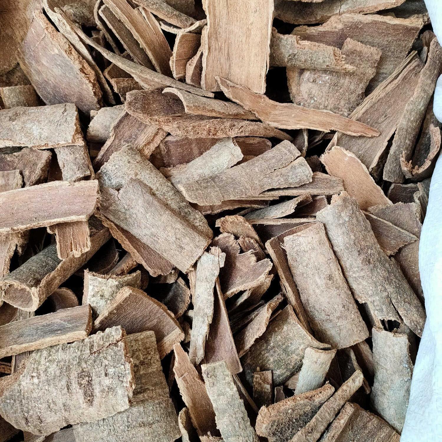 中药材鸭脚木,鸭脚木皮,鹅掌柴,五指通 50克【图片 价格 品牌 报价】