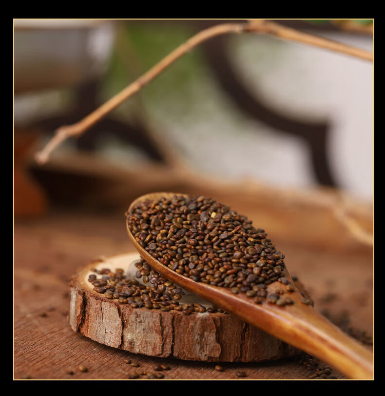 菟丝子中药材沙苑子沙菀子与菟丝子兔丝籽野生中草药材泡茶功效男性