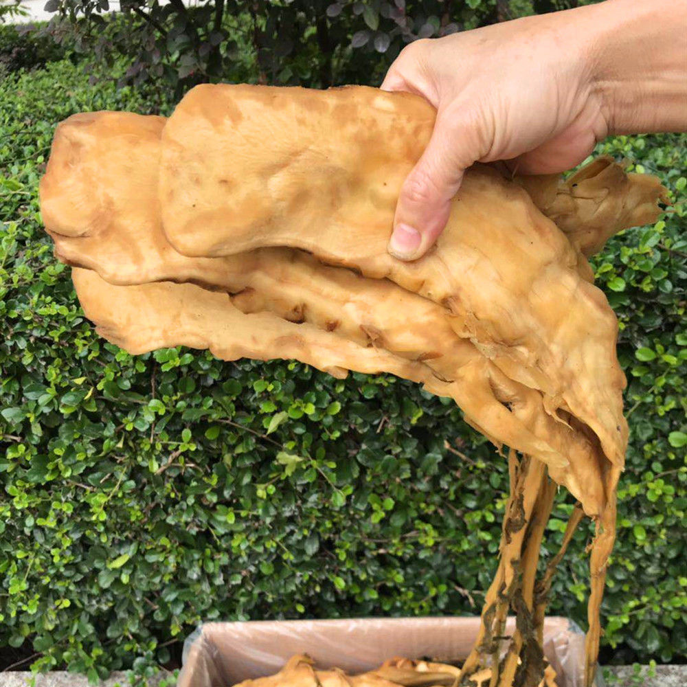【整箱10斤】广西横县特产大头菜下饭菜蔡农家腌制头菜干咸菜 横县