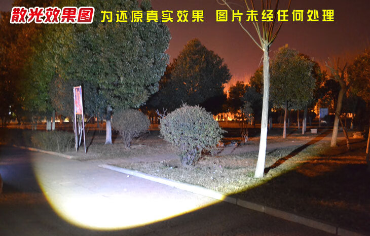acba9a498f644e19.jpg