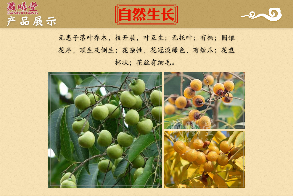 藏曦堂无患子洗手果肥皂果油患子中药材无患子500克1袋