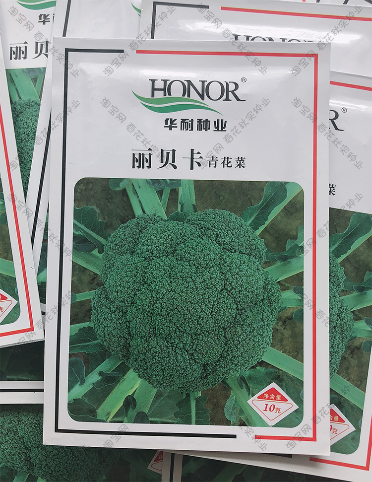 青梗松花菜紫黄绿宝塔花椰菜种子西兰花秋季播蔬菜籽耐寒菜园孑进口宝塔花菜10粒 图片价格品牌报价 京东