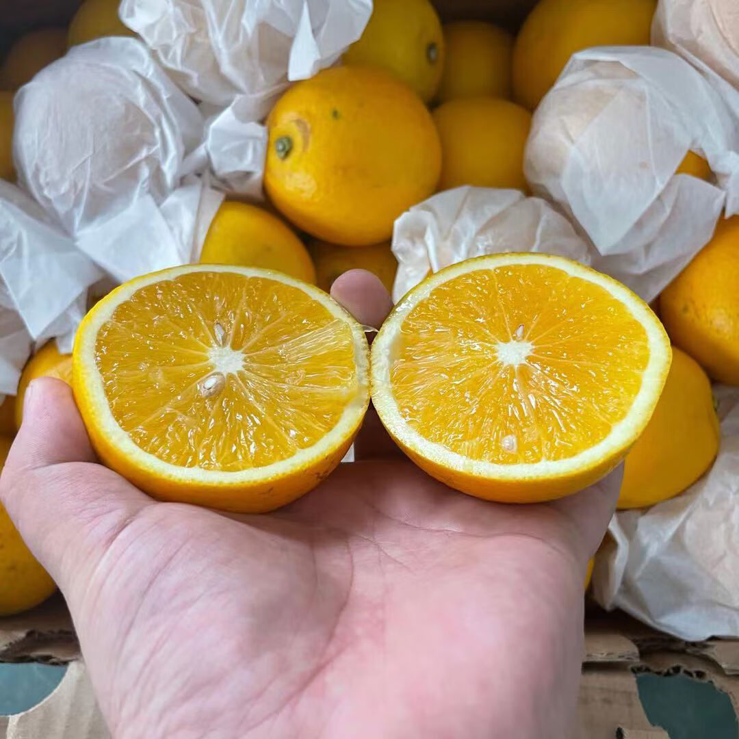 进口橙子10斤南非橙当季水果埃及甜橙夏橙新鲜手剥橙多规格可选 红色