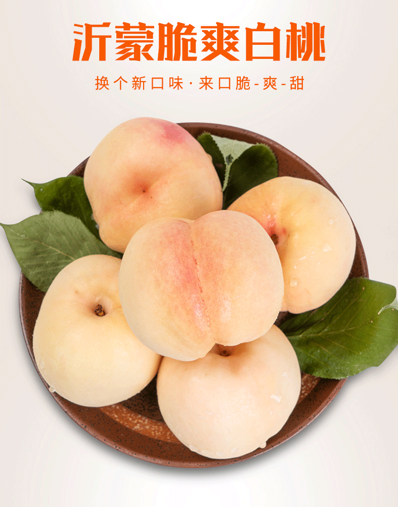 山东特产蒙阴蜜桃脆甜大白桃水果毛桃子新鲜现货白玉桃 6斤
