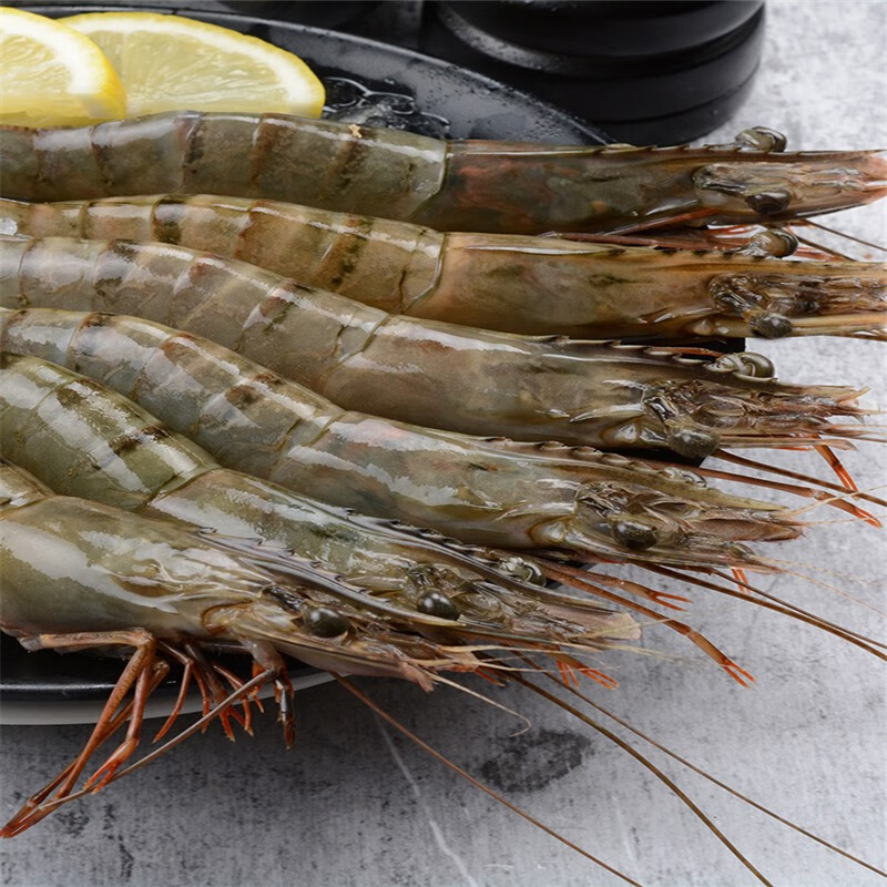 春光岛虎虾黑虎虾海鲜水产火锅食材鲜虾海虾冷冻600g盒两盒