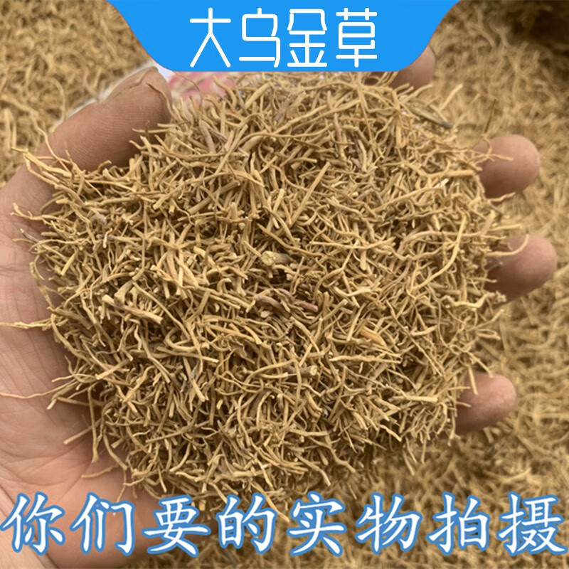 潽禧草堂 中药材 大乌金草 别名:铜钱细辛 胡椒七