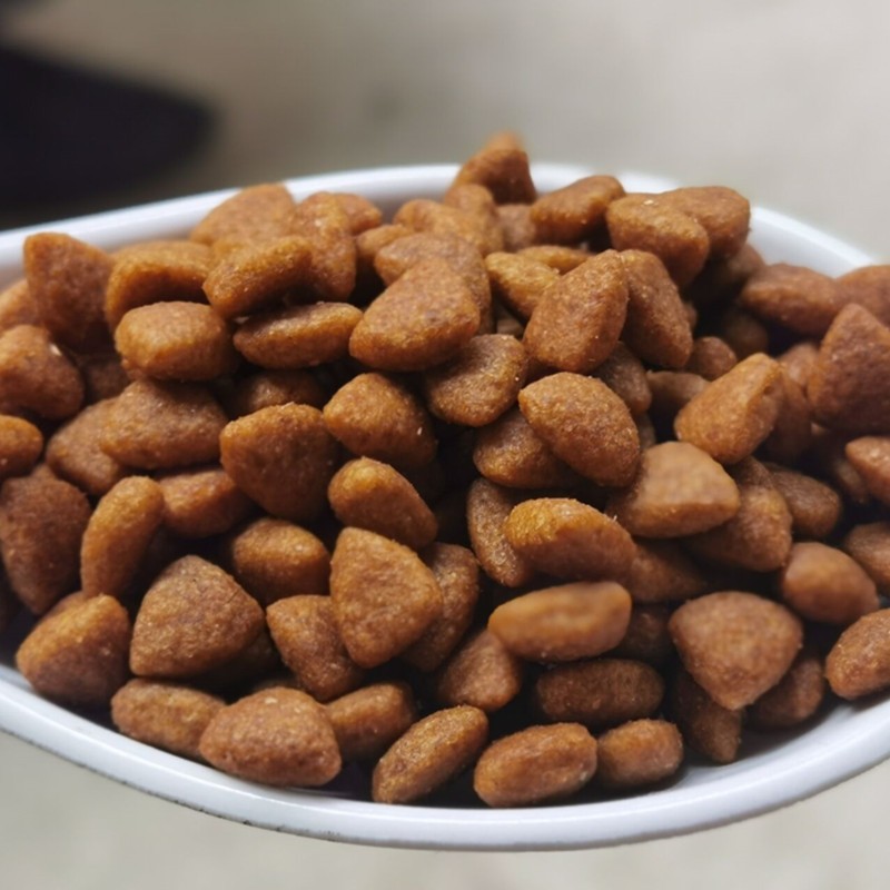 皇圣狗粮奶糕粮泰迪博美柴犬哈士奇博美比熊吉娃娃拉布拉多边牧德牧羊